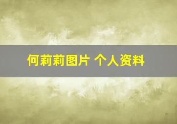 何莉莉图片 个人资料